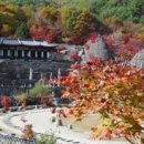 하동 청학동 삼성궁, 대한민국 안심 관광지로 선정 이미지