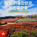유명꽃마을 이미지