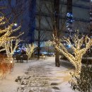 광화문빌딩 앞 이미지