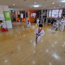 경희대 대영 태권도장 이미지