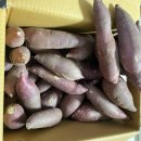 쌀통닭 옥산점 | 5월 3-4째주 일상 [2023년 | 임산부 27-28주차]