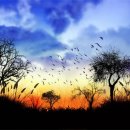 트럼펫연주 이미지