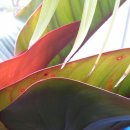 창가약국 이미지