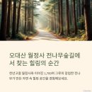 1월17일[토] 겨울바다를 보며 커피 한잔과 전나무가 만든 자연속 힐링 여행 이미지