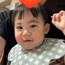 강아지에 빠지다 | 570일 아기 기록 : 공룡에 빠지다.