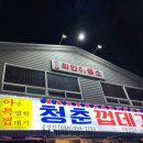 청춘이용소