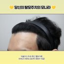 예술머리나라