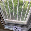 역시 내 선택은 탁월했다. <b>홍반장</b> <b>이사</b>