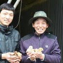 조아라농원
