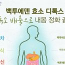 백투에덴힐링센터 이미지