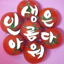 세광한의원 | [제천 정체교정 마사지] 만성 근육통, 묵은 피로 풀기 🍀 마사지 시원한 곳