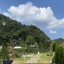 스테이 오힐 이미지