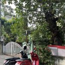 스위트 하우스 | 치앙마이 님만해민 가족숙소 추천, 예스터데이호텔 방 2개 펜트하우스 스위트 후기