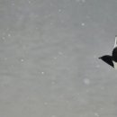 까치자동차 이미지