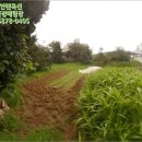 외답주유소 네이버블로그
