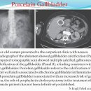 Porcelain Gallbladder 이미지