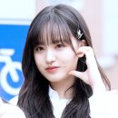 리즈볼