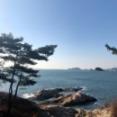 송정관광지 | 송정관광지 방문 후기: 자연 속에서 즐거운 시간 보냈습니다