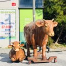 행복한우프라자구이 네이버블로그