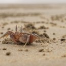 스쿨프렌즈 이미지