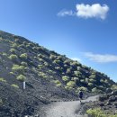 란사로테 | 란사로테 Caldera del Cuervo 트레킹 후기 – 화산 분화구 걷기