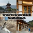 직지문화공원화장실 | 김천 직지사 김천 애견동반 카페 김천 애견동반 가볼만한 곳 : 직지문화공원 그리고 카페 솔향