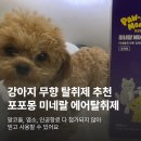 강아지나라 | 강아지 고양이 무향 탈취제 추천 포포몽 깨끗한나라 미네랄 에어탈취제 사용후기