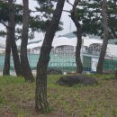 대구스타디움 기념관 광장 입구(대구FC주주동산) | [공지] [K4 가이드] 대구FC K4 홈경기 관람 TIP 2탄