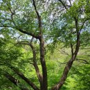 봉암어린이집 이미지