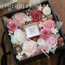 아이엠데이지