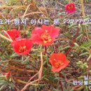 금강방앗간 이미지