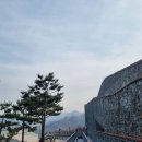 매화골향기 | 하동(24.03.23~24.03.24)