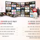 추월산 해피랜드 이미지