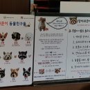 멍이와 쿤이 이미지