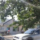 늘푸른민박 이미지