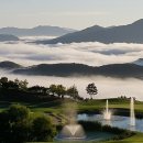 오늘도 골프 이미지