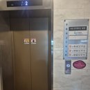 연애하는 청춘 이미지