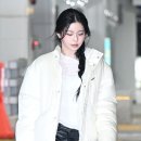 규냥이네