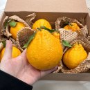 (주)올제 이미지