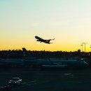 매일행정사사무소 이미지