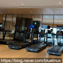 강릉헬스 | 강릉 여행 후기 #2 - 신라모노그램 강릉 호텔 헬스 GYM