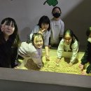 잭슨나인스 이미지