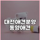 동양애견 강아지분양 고양이분양 이미지