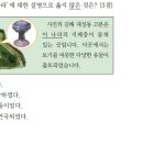 23회 한국사능력검정시험 초급 10번 해설 : 김해 대성동 고분과 금관 가야 이미지