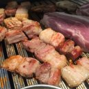 돌리고제주도야지 이미지