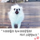 와와멍# 이미지