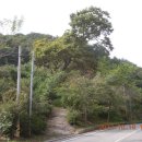 판문동-1 이미지