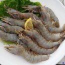노을빛돼지