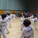 삼각초교 이미지