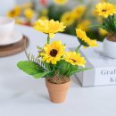 럭키장식 이미지